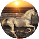 Pearly Foo profile picture
