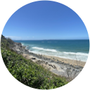 Shell profile picture